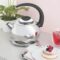 Чайник Tea and Coffee 61482/183 Tramontina
