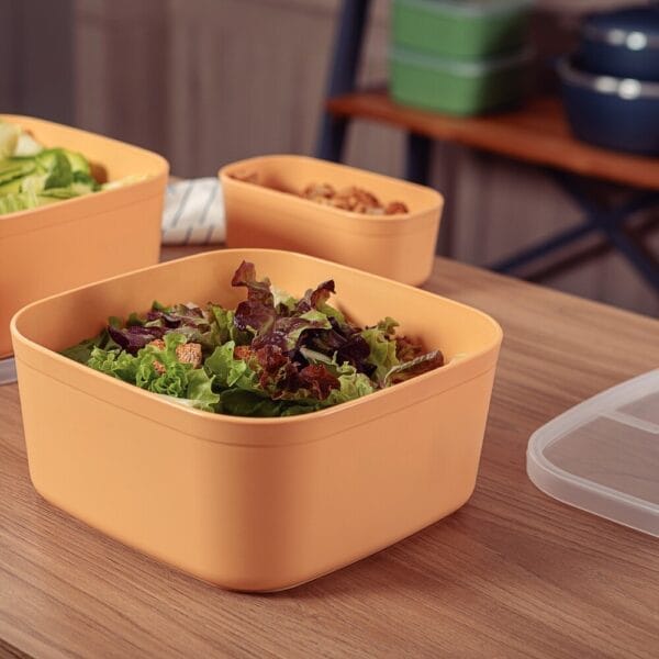 emkost-mixcolor-25494-940-tramontina Емкость с крышкой Mixcolor 25494/940 Tramontina